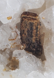 Österreich/Salzburg/Zell am See, Bezirk (Pinzgau)/Neukirchen am Großvenediger, Marktgemeinde/Sulzau, Katastralgemeinde/Obersulzbachtal/Hopffeldboden