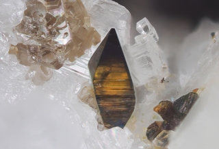 Österreich/Salzburg/Zell am See, Bezirk (Pinzgau)/Neukirchen am Großvenediger, Marktgemeinde/Sulzau, Katastralgemeinde/Obersulzbachtal/Hopffeldboden