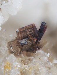 Österreich/Salzburg/Zell am See, Bezirk (Pinzgau)/Neukirchen am Großvenediger, Marktgemeinde/Sulzau, Katastralgemeinde/Obersulzbachtal/Hopffeldboden