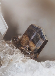 Österreich/Salzburg/Zell am See, Bezirk (Pinzgau)/Neukirchen am Großvenediger, Marktgemeinde/Sulzau, Katastralgemeinde/Obersulzbachtal/Hopffeldboden