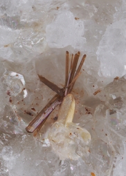 Österreich/Salzburg/Zell am See, Bezirk (Pinzgau)/Neukirchen am Großvenediger, Marktgemeinde/Sulzau, Katastralgemeinde/Obersulzbachtal/Hopffeldboden