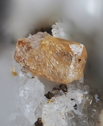 Österreich/Salzburg/Zell am See, Bezirk (Pinzgau)/Neukirchen am Großvenediger, Marktgemeinde/Sulzau, Katastralgemeinde/Obersulzbachtal/Hopffeldboden