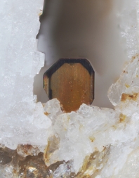 Österreich/Salzburg/Zell am See, Bezirk (Pinzgau)/Neukirchen am Großvenediger, Marktgemeinde/Sulzau, Katastralgemeinde/Obersulzbachtal/Hopffeldboden