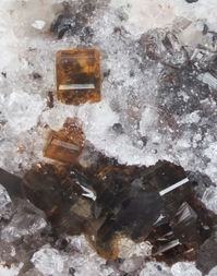 Deutschland/Rheinland-Pfalz/Mayen-Koblenz-Kreis/Vordereifel, Verbandsgemeinde/Ettringen/Bellerberg/Ettringer Bellerberg (Stbr. Caspar)