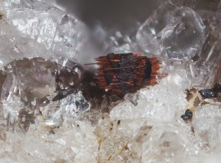 Deutschland/Rheinland-Pfalz/Mayen-Koblenz-Kreis/Vordereifel, Verbandsgemeinde/Ettringen/Bellerberg/Ettringer Bellerberg (Stbr. Caspar)