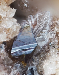 Deutschland/Rheinland-Pfalz/Mayen-Koblenz-Kreis/Vordereifel, Verbandsgemeinde/Ettringen/Bellerberg/Ettringer Bellerberg (Stbr. Caspar)