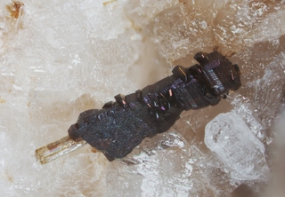 Deutschland/Rheinland-Pfalz/Mayen-Koblenz-Kreis/Vordereifel, Verbandsgemeinde/Ettringen/Bellerberg/Ettringer Bellerberg (Stbr. Caspar)