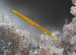 Deutschland/Rheinland-Pfalz/Mayen-Koblenz-Kreis/Vordereifel, Verbandsgemeinde/Ettringen/Bellerberg/Ettringer Bellerberg (Stbr. Caspar)