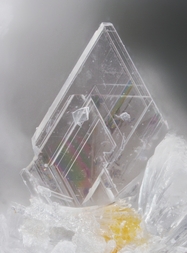 Deutschland/Rheinland-Pfalz/Mayen-Koblenz-Kreis/Vordereifel, Verbandsgemeinde/Ettringen/Bellerberg/Ettringer Bellerberg (Stbr. Caspar)