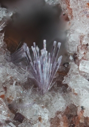 Deutschland/Rheinland-Pfalz/Mayen-Koblenz-Kreis/Vordereifel, Verbandsgemeinde/Ettringen/Bellerberg/Ettringer Bellerberg (Stbr. Caspar)