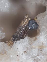 Deutschland/Rheinland-Pfalz/Mayen-Koblenz-Kreis/Vordereifel, Verbandsgemeinde/Ettringen/Bellerberg/Ettringer Bellerberg (Stbr. Caspar)