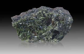 Deutschland/Rheinland-Pfalz/Mayen-Koblenz-Kreis/Vordereifel, Verbandsgemeinde/Ettringen/Bellerberg/Ettringer Bellerberg (Stbr. Caspar)