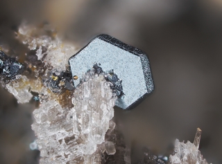 Deutschland/Rheinland-Pfalz/Mayen-Koblenz-Kreis/Vordereifel, Verbandsgemeinde/Ettringen/Bellerberg/Ettringer Bellerberg (Stbr. Caspar)