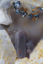 Deutschland/Rheinland-Pfalz/Mayen-Koblenz-Kreis/Vordereifel, Verbandsgemeinde/Ettringen/Bellerberg/Ettringer Bellerberg (Stbr. Caspar)