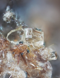 Deutschland/Rheinland-Pfalz/Mayen-Koblenz-Kreis/Vordereifel, Verbandsgemeinde/Ettringen/Bellerberg/Ettringer Bellerberg (Stbr. Caspar)