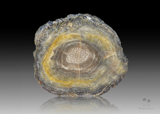 Deutschland/Sachsen/Mittelsachsen, Landkreis/Seelitz/Biesern/Kies-Sandgrube Zaßnitz-Biesern