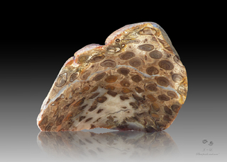 Australien/Queensland