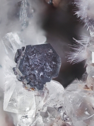 Deutschland/Rheinland-Pfalz/Mayen-Koblenz-Kreis/Vordereifel, Verbandsgemeinde/Ettringen/Bellerberg/Ettringer Bellerberg (Stbr. Caspar)