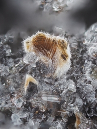 Deutschland/Rheinland-Pfalz/Mayen-Koblenz-Kreis/Vordereifel, Verbandsgemeinde/Ettringen/Bellerberg/Ettringer Bellerberg (Stbr. Caspar)