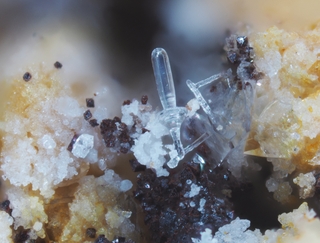 Deutschland/Rheinland-Pfalz/Mayen-Koblenz-Kreis/Vordereifel, Verbandsgemeinde/Ettringen/Bellerberg/Ettringer Bellerberg (Stbr. Caspar)