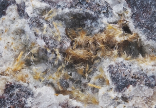 Deutschland/Rheinland-Pfalz/Mayen-Koblenz-Kreis/Vordereifel, Verbandsgemeinde/Ettringen/Bellerberg/Ettringer Bellerberg (Stbr. Caspar)