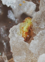 Deutschland/Rheinland-Pfalz/Mayen-Koblenz-Kreis/Vordereifel, Verbandsgemeinde/Ettringen/Bellerberg/Ettringer Bellerberg (Stbr. Caspar)