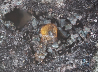 Deutschland/Rheinland-Pfalz/Mayen-Koblenz-Kreis/Vordereifel, Verbandsgemeinde/Ettringen/Bellerberg/Ettringer Bellerberg (Stbr. Caspar)