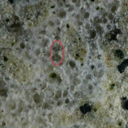 Frankreich/Normandie, Région/Calvados, Département/Lisieux, Arrondissement/Houlgate/Falaises des Vaches Noires