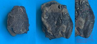 Frankreich/Hauts-de-France, Région/Pas-de-Calais, Département/Calais, Arrondissement/Escalles/Cap Blanc-Nez