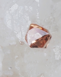 Italien/Kampanien (Campania), Region/Metropolitanstadt Neapel/Somma-Vesuv-Komplex/Monte Somma