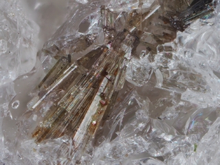 Italien/Kampanien (Campania), Region/Metropolitanstadt Neapel/Somma-Vesuv-Komplex/Monte Somma