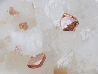 Italien/Kampanien (Campania), Region/Metropolitanstadt Neapel/Somma-Vesuv-Komplex/Monte Somma