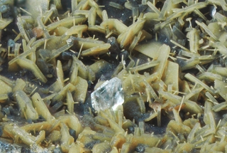 Italien/Kampanien (Campania), Region/Metropolitanstadt Neapel/Somma-Vesuv-Komplex/Monte Somma