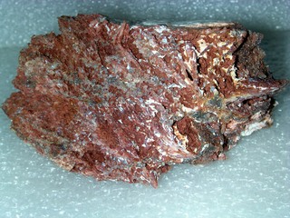 Deutschland/Sachsen/Zwickau, Landkreis/Zwickau, Stadt/Neuplanitz/Biogasanlage