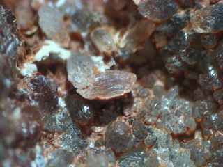 Deutschland/Sachsen/Zwickau, Landkreis/Zwickau, Stadt/Neuplanitz/Biogasanlage