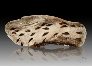 Deutschland/Rheinland-Pfalz/Bernkastel-Wittlich, Landkreis/Arenrath/Kiesgruben in Arenrath und Umgebung