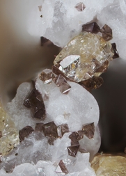 Italien/Kampanien (Campania), Region/Metropolitanstadt Neapel/Somma-Vesuv-Komplex/Monte Somma