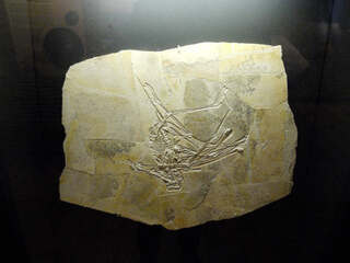 Deutschland/Bayern/Oberfranken, Bezirk/Bamberg, Landkreis/Wattendorf, Gemeinde/Kalksteinbruch Wattendorf (Schorr GmbH & Co. KG)