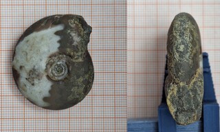 Marokko/Drâa-Tafilalet, Region/Errachidia (Er-Rachidia), Provinz/Tafilalet (Tafilalt)