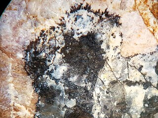 Deutschland/Bayern/Oberfranken, Bezirk/Wunsiedel im Fichtelgebirge, Landkreis/Thiersheim, Gemeinde/Stemmas, Ortsteil/Steinbrüche