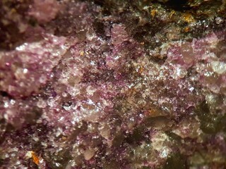 Deutschland/Schleswig-Holstein/Rendsburg-Eckernförde, Landkreis/Eckernförde/Waabs