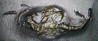 Deutschland/Rheinland-Pfalz/Birkenfeld, Landkreis/Herrstein-Rhaunen, Verbandsgem./Bundenbach