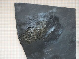 Deutschland/Rheinland-Pfalz/Birkenfeld, Landkreis/Herrstein-Rhaunen, Verbandsgem./Bundenbach