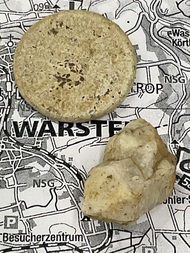 Deutschland/Nordrhein-Westfalen/Arnsberg, Bezirk/Soest, Landkreis/Warstein/Suttrop/Köster-Risse Steinbrüche/Steinbruch auf dem Stein