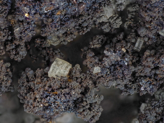 Deutschland/Nordrhein-Westfalen/Köln, Bezirk/Düren, Kreis/Kreuzau/Untermaubach/Maubacher Bleiberg