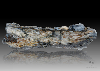 Deutschland/Thüringen/Altenburger Land, Landkreis/Nobitz/Kiesgrube Nobitz