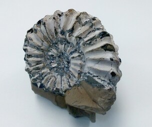 Deutschland/Bayern/Oberfranken, Bezirk/Bamberg, Landkreis/Buttenheim, Gemeinde/Tongrube Holzbachacker