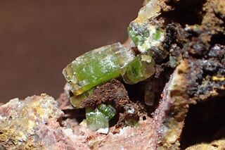 Deutschland/Sachsen/Mittelsachsen, Landkreis/Freiberg, Revier/Freiberg/Kleinwaltersdorf/Neugeboren Kindlein Stehender