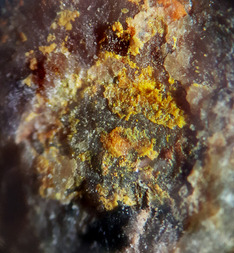 Deutschland/Baden-Württemberg/Freiburg, Bezirk/Rottweil, Landkreis/Schenkenzell, Gemeinde/Kaltbrunn, Ortsteil/Wittichen/Schmiedestollenhalde