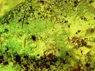 Deutschland/Bayern/Niederbayern, Bezirk/Straubing-Bogen, Landkreis/Rattenberg (Niederbayern), Gemeinde/Steinbruch Rattenberg (Raab Granit)